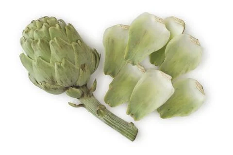Artichoke Stock Photos