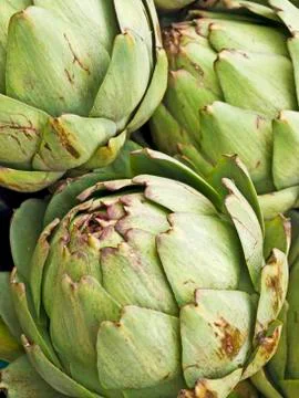 Artichoke Stock Photos