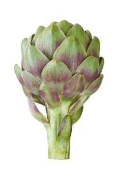 Artichoke Stockfoto's