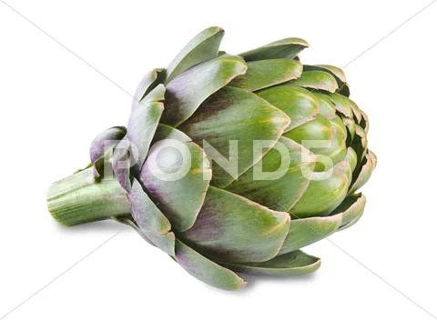 Artichoke Stock Photos