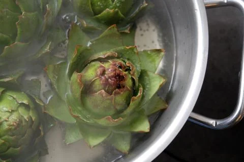 Artichoke Stock Photos