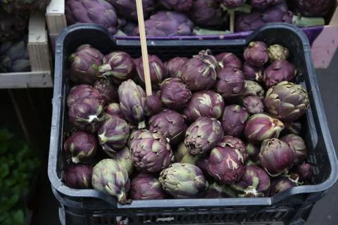 Artichoke Stock Photos