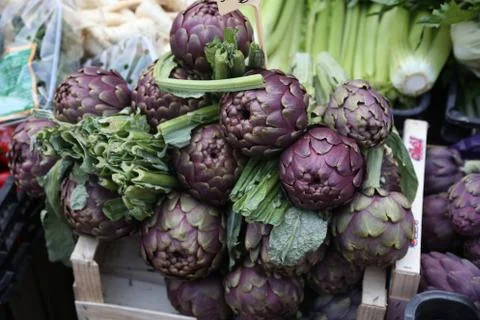 Artichoke Stock Photos