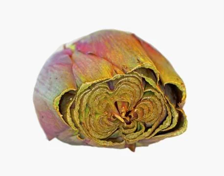 Artichoke Foto stock