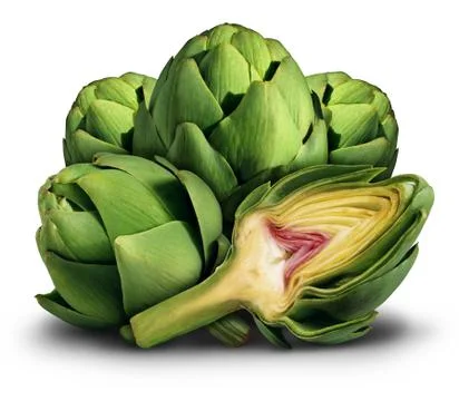 Artichoke Stock Photos