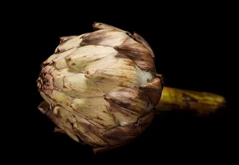 Artichoke Stock Photos