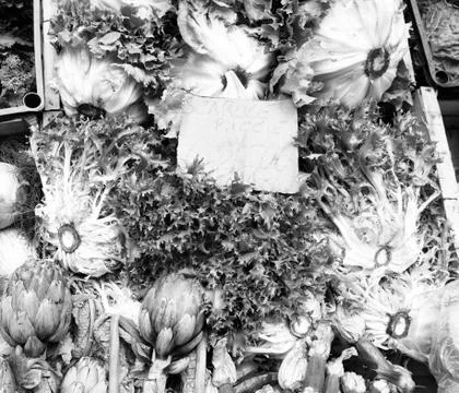 Artichoke Stock Photos