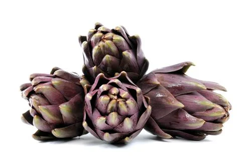 Artichoke Stock Photos