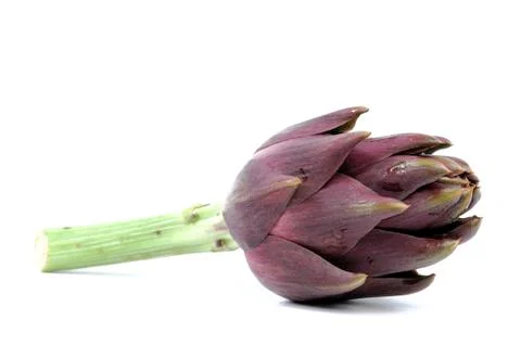 Artichoke Stock-Fotos