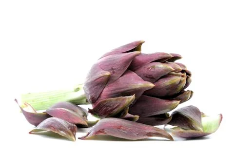 Artichoke Stock Photos