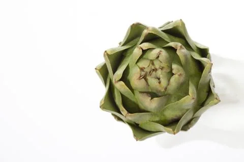 Artichoke Stock Photos