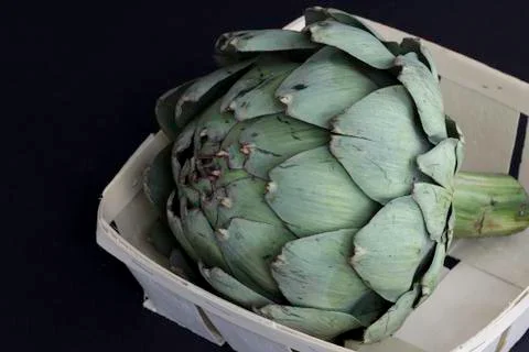 Artichoke Stock Photos