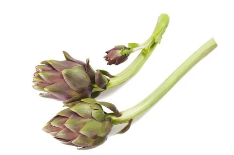 Artichoke Stock Photos