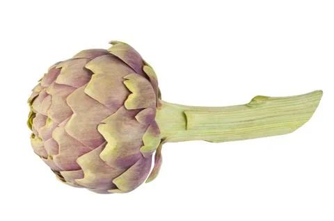 Artichoke Stock Photos