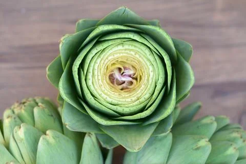 Artichoke Stock Photos
