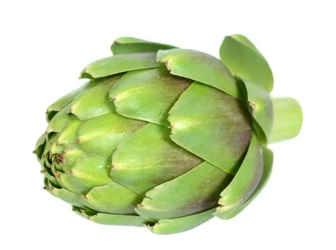Artichoke Stock Photos