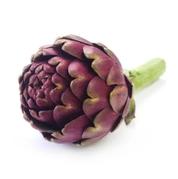 Artichoke Stock Photos