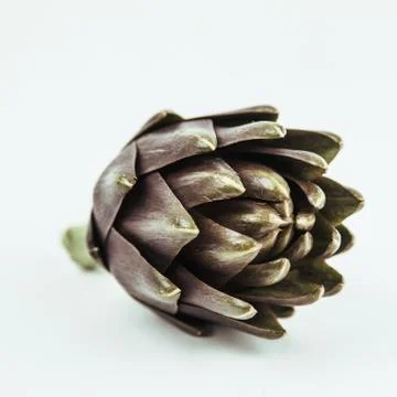 ARTICHOKE Stock Photos