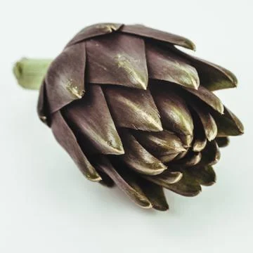 ARTICHOKE Stock Photos