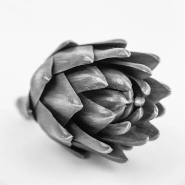 ARTICHOKE Stock Photos
