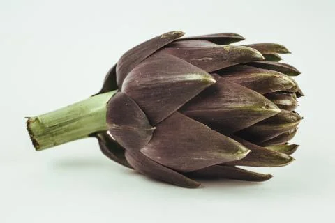 ARTICHOKE Stock Photos