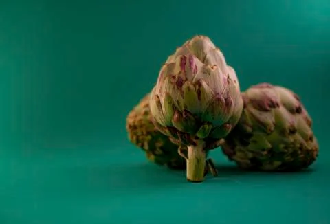 Artichoke Stock Photos
