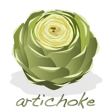 Artichoke vector isolated Stock Illustration