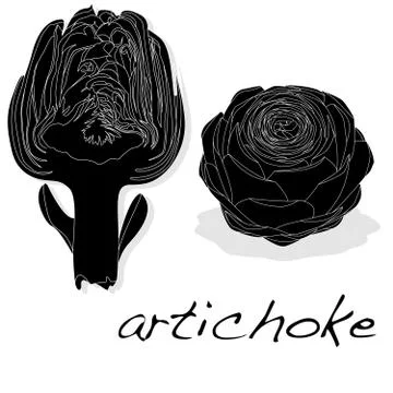 Artichoke vector isolated Stock Illustration
