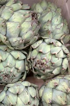Artichoke Vegetable Background Stock Photos