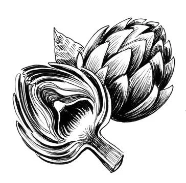 Artichoke vegetables Stock Illustration