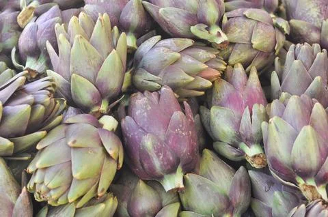 Artichoke vegetables Foto stock