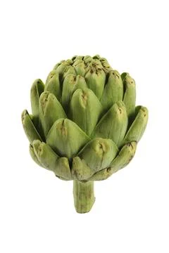 Artichoke on white background seamless Stock Photos