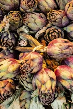 Artichokes, close up Stock Photos