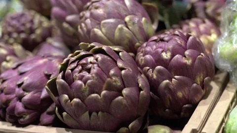 Artichokes close up. Rome, Italy. Video stock 103732053