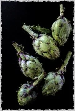 Artichokes Stock Illustration