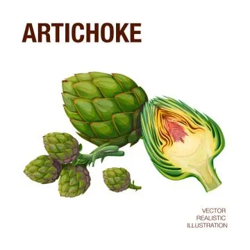 Artichokes. Isolated objects Illustrazione stock