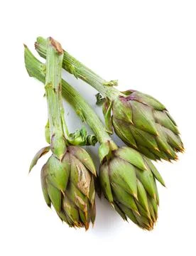Artichokes isolated on white background. High quality photo Stock Photos