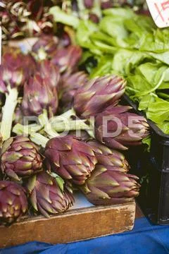 Artichokes at a market Stock Photos