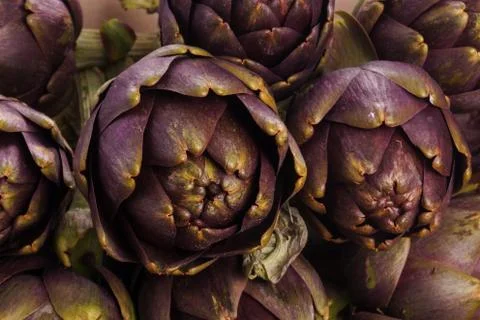 Artichokes Stock Photos