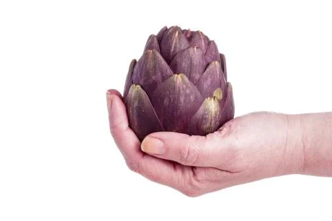 Artichokes Stock Photos