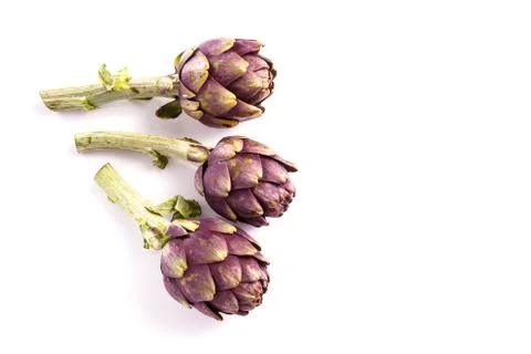 Artichokes Stock Photos