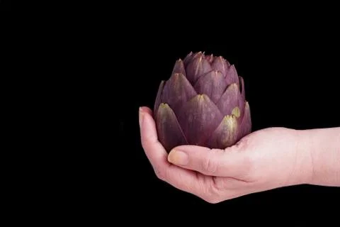 Artichokes Stock Photos