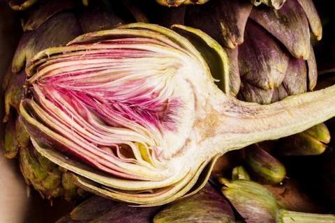 Artichokes Stock Photos