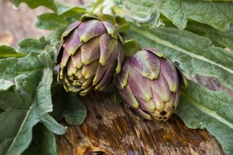 Artichokes Stock Photos