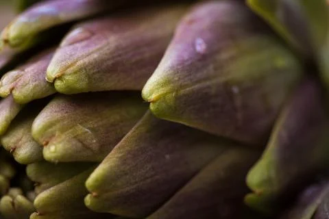 Artichokes Stock Photos