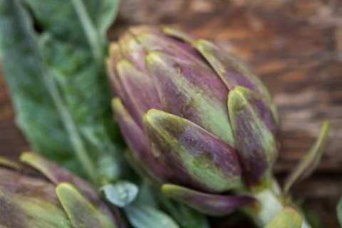 Artichokes Stock Photos