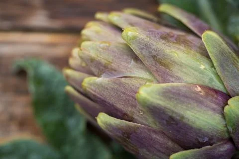 Artichokes Stock Photos
