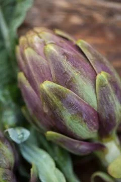 Artichokes Stock Photos