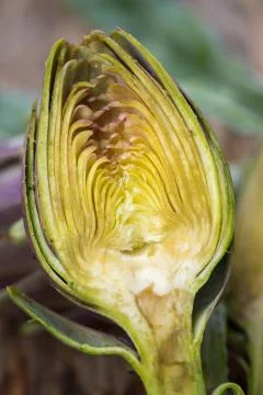 Artichokes Stock Photos
