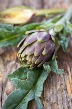Artichokes Stock Photos